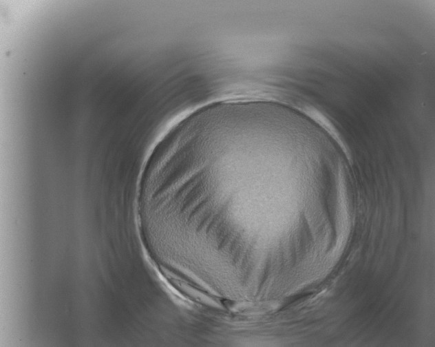 X0000066521485200604141801