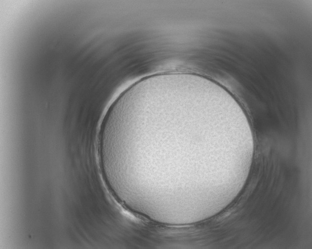 X0000066521486200604141801