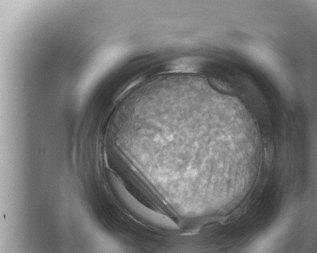 X0000066521487200604141801