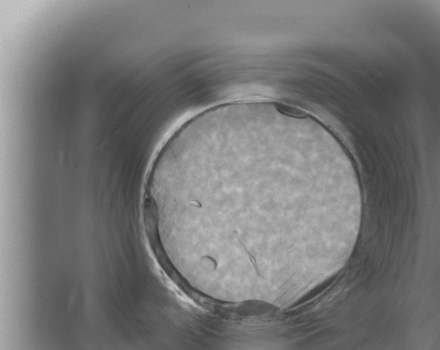 X0000066521488200604141801