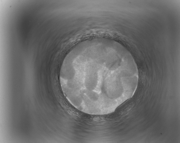 X0000066521489200604141800