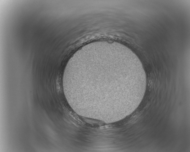 X0000066521490200604141800