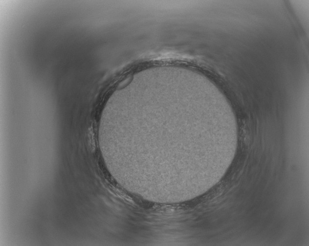 X0000066521493200604141800