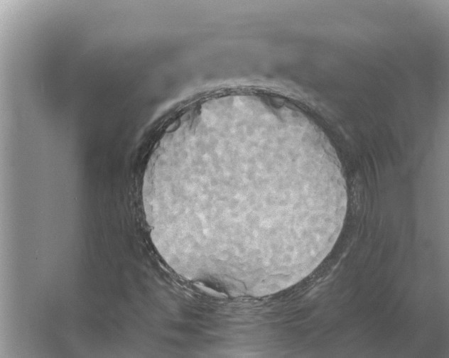 X0000066521494200604141800