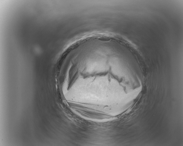 X0000066521496200604141800