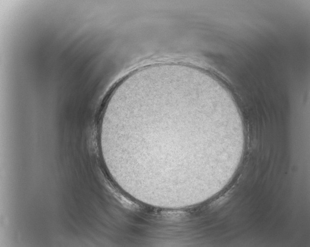 X0000066521498200604141800