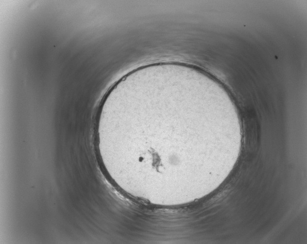 X0000066521500200604141800