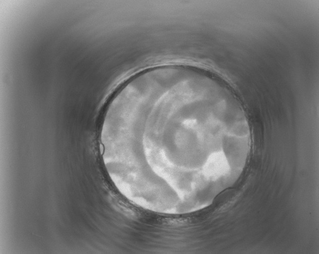 X0000066521501200604141800