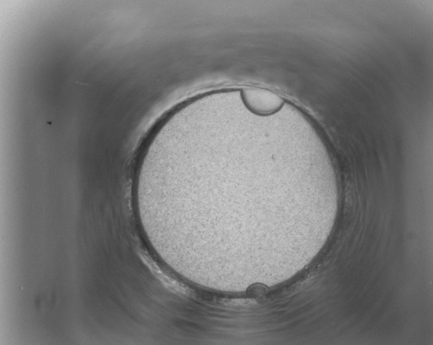 X0000066521503200604141800