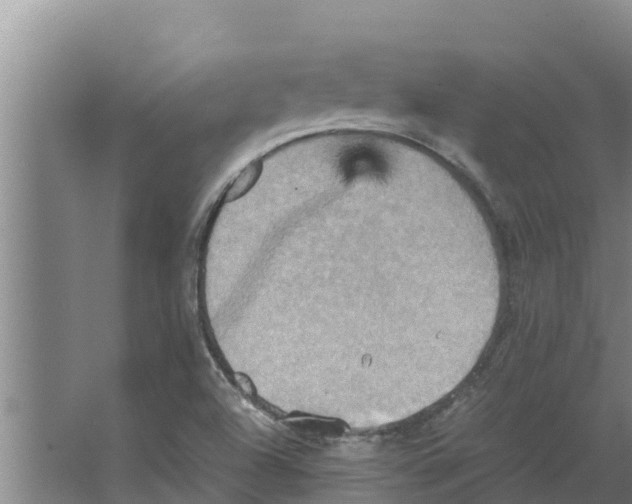 X0000066521504200604141800