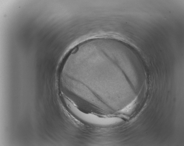 X0000066521506200604141800