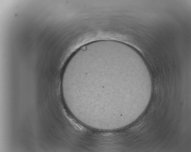 X0000066521507200604141800