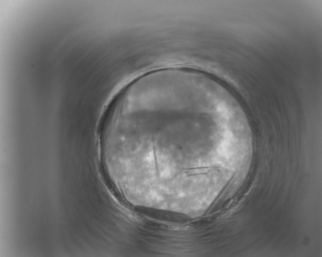 X0000066521509200604141800