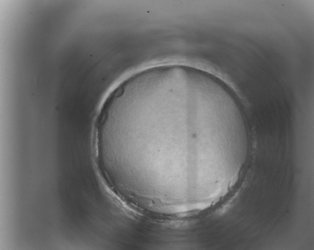 X0000066521510200604141800