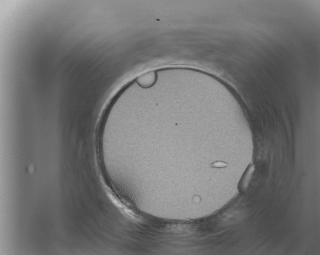 X0000066521511200604141800