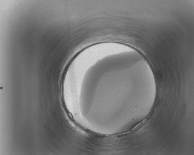 X0000066521515200604141800