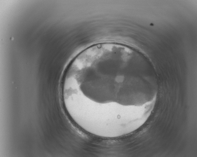 X0000066521517200604141800