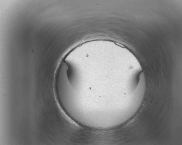 X0000066521518200604141801