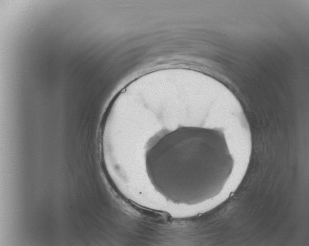 X0000066521522200604141801