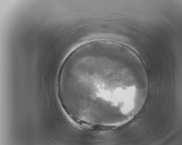 X0000066521523200604141801