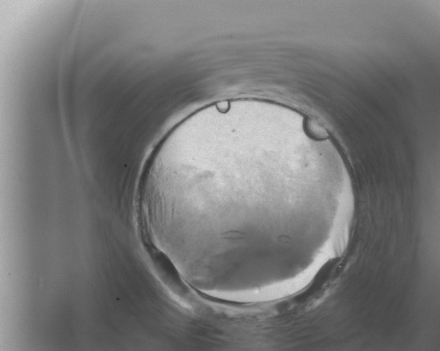 X0000066521525200604141801