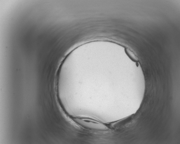 X0000066521526200604141801