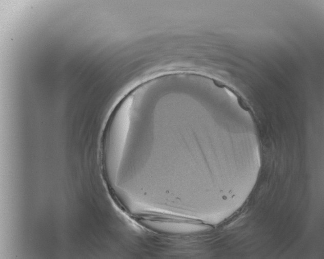 X0000066521527200604141801