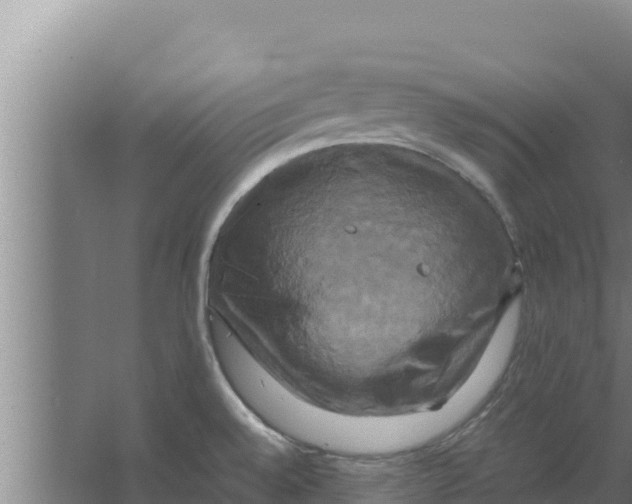 X0000066521528200604141801