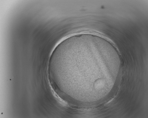 X0000066521530200604141801