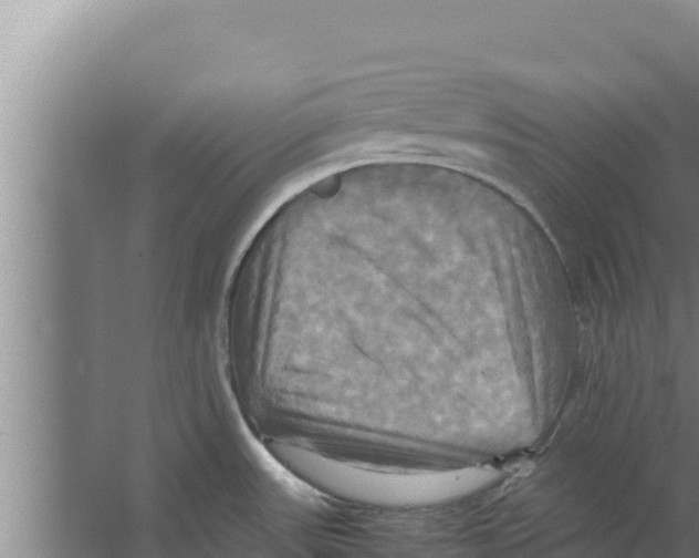 X0000066521531200604141801