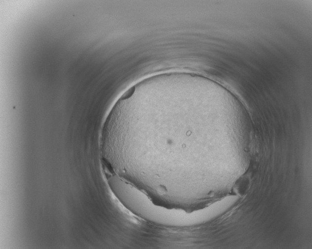 X0000066521532200604141801