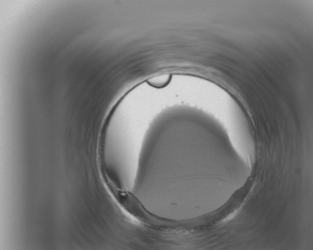 X0000066521533200604141801