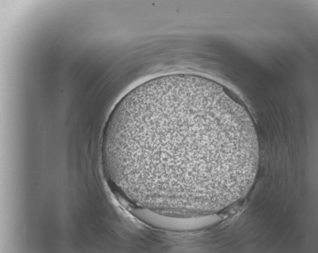 X0000066521534200604141801