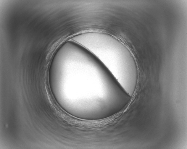 X0000066530001200603171041
