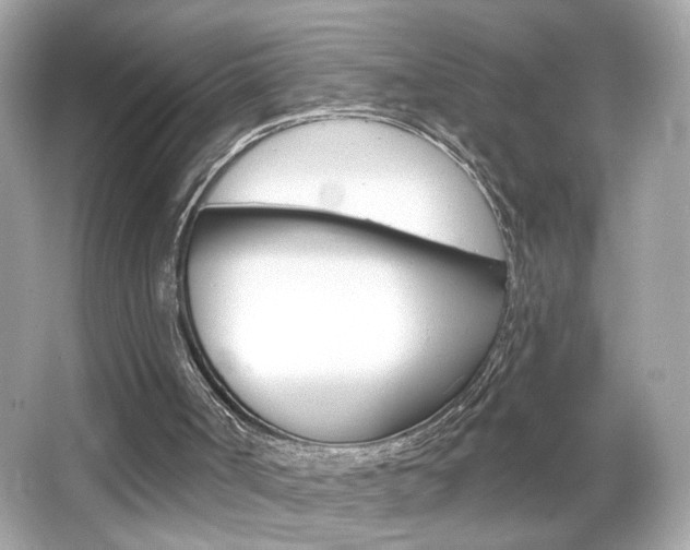 X0000066530002200603171041