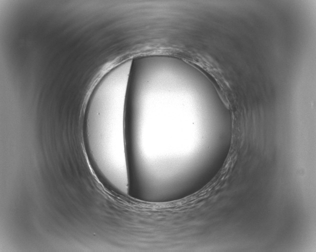 X0000066530003200603171041