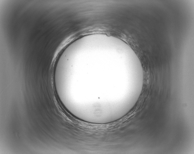 X0000066530004200603171041