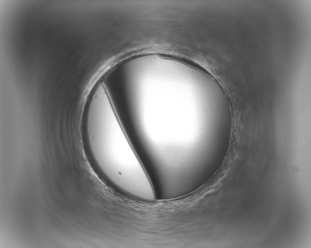 X0000066530007200603171041