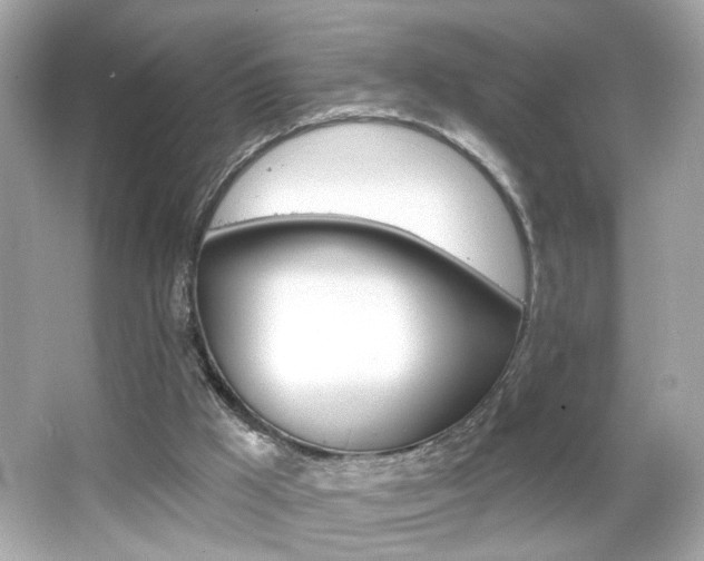 X0000066530009200603171041