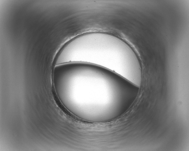 X0000066530011200603171041