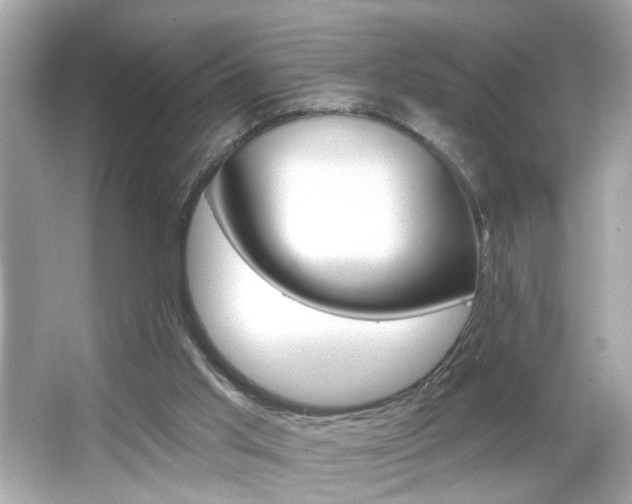 X0000066530013200603171041