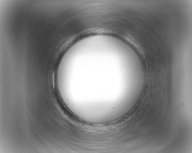 X0000066530014200603171041