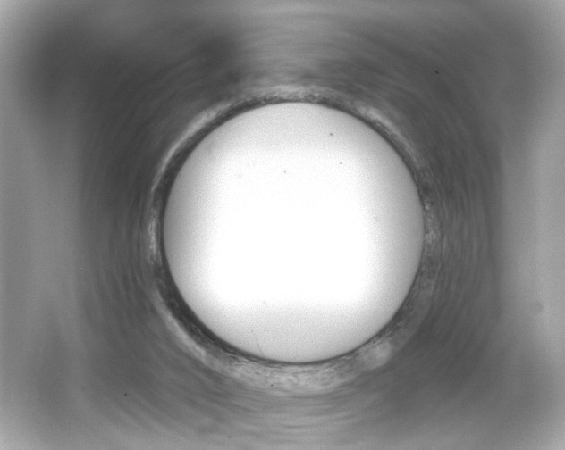 X0000066530016200603171041