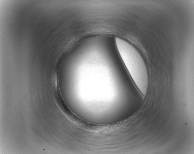 X0000066530021200603171041