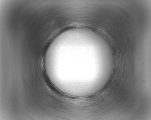X0000066530024200603171041