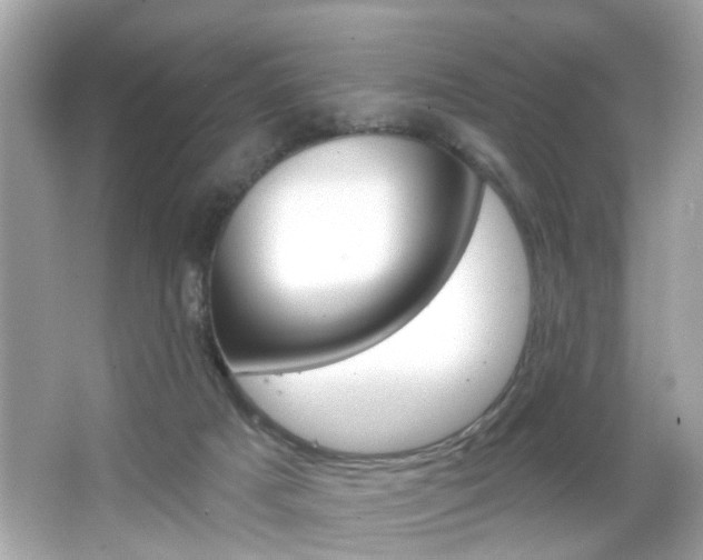 X0000066530025200603171041