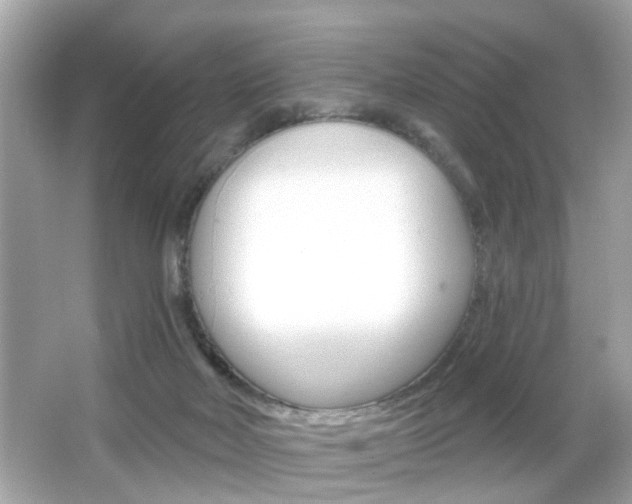 X0000066530026200603171041