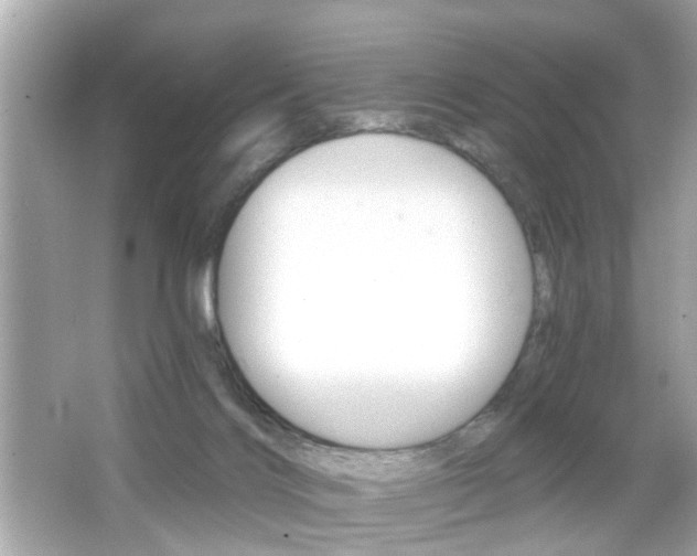 X0000066530028200603171041