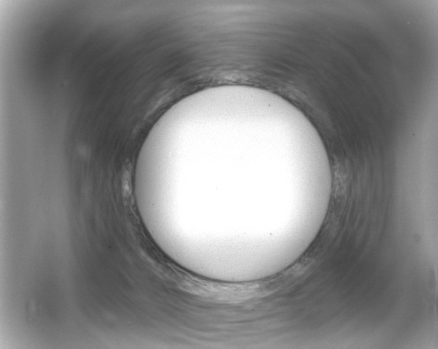 X0000066530032200603171041