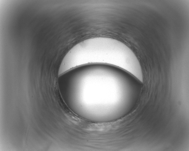 X0000066530033200603171041
